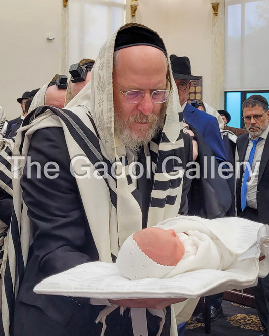 Rav Avrohom Lefkowitz Sukkah Poster