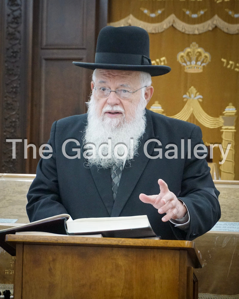 Rav Avrohom Teichman - 4 Sukkah Poster