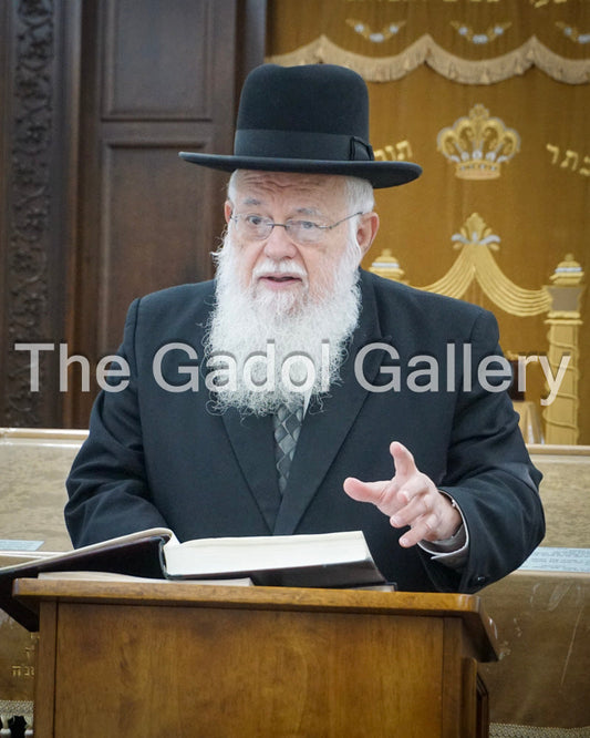 Rav Avrohom Teichman - 4 Sukkah Poster