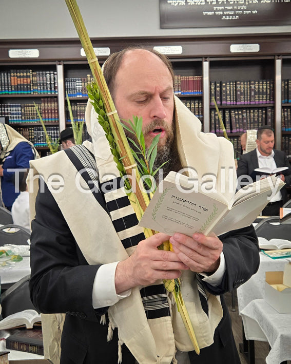 Rav Chaim Roth - ×¨×‘ ×—×™×™× ×¨×•×˜×” Sukkah Poster