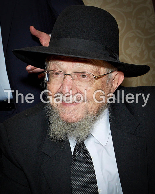 Rav Dovid Feinstein -3- רב דוד פיינשטיין Sukkah Poster