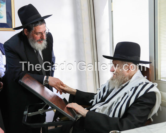 Rav Don Segal with Rav Yaakov Lieberman Sukkah Poster