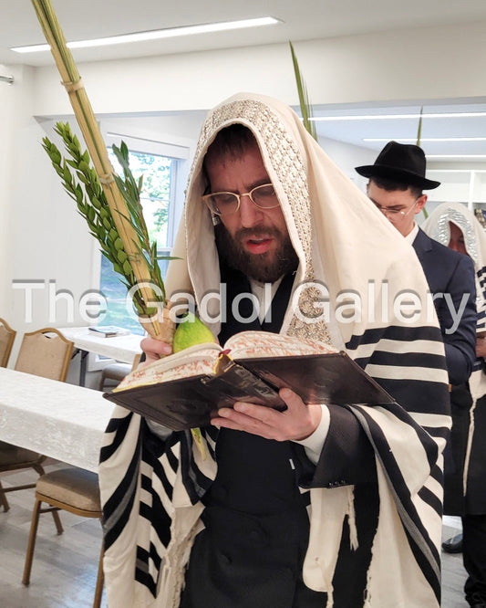 Rav Heshy Schwartz - 2 - Lulav & Esrog Sukkah Poster