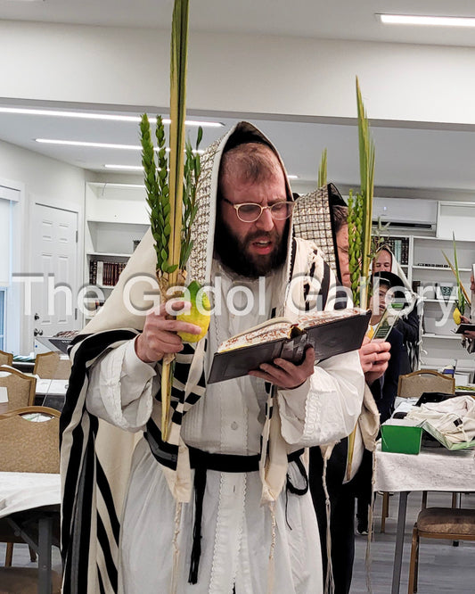 Rav Heshy Schwartz - 3 - Lulav & Esrog - Kittal