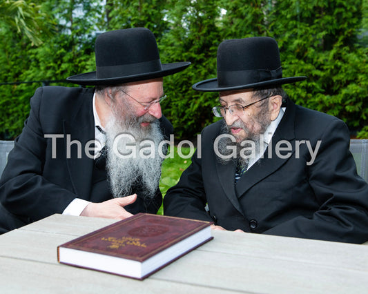 Rav Shmuel Kaminetzsky and Rav Malkiel Kotler Sukkah Poster