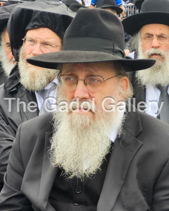 Rav Michel Handelsman Sukkah Poster