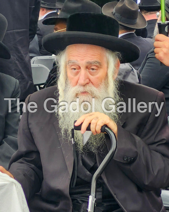 Rav Mordechai Betzalel Klein Sukkah Poster