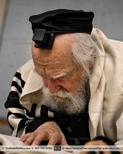 Rav Moshe Feinstein -3- רב משה פיינשטיין Sukkah Poster