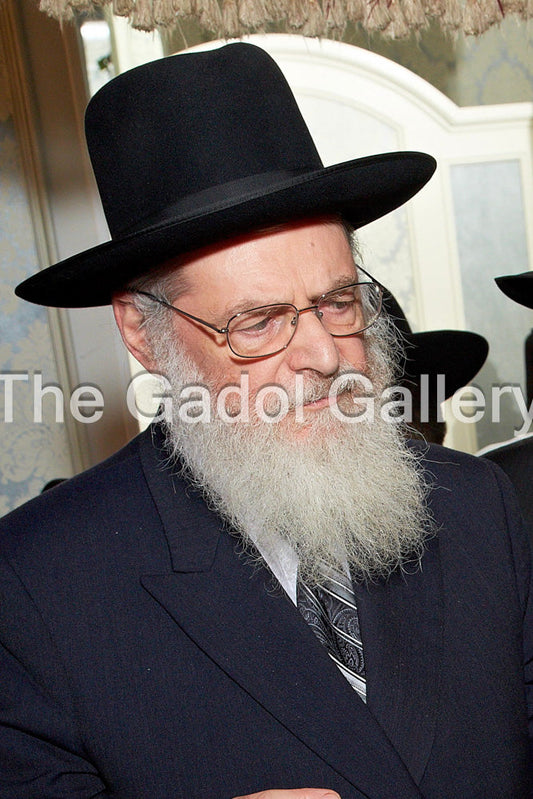 Rav Nosson Scherman - 2 Sukkah Poster