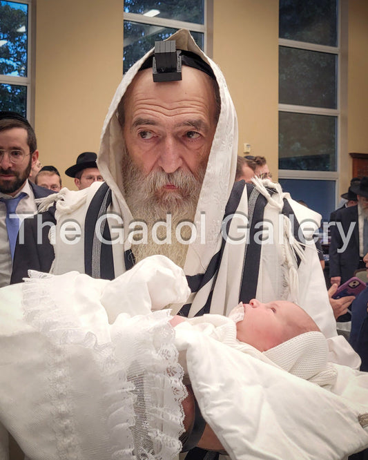 Rav Shmuel Noach Mermelstein Sukkah Poster