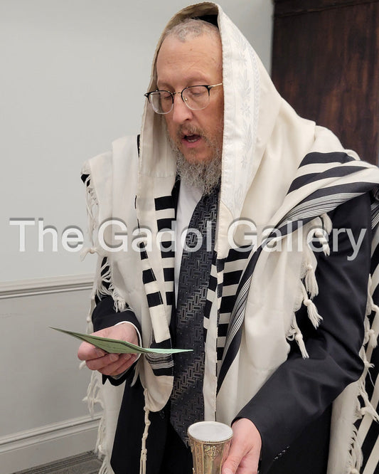 Rav Shraga Sender - 1 Sukkah Poster