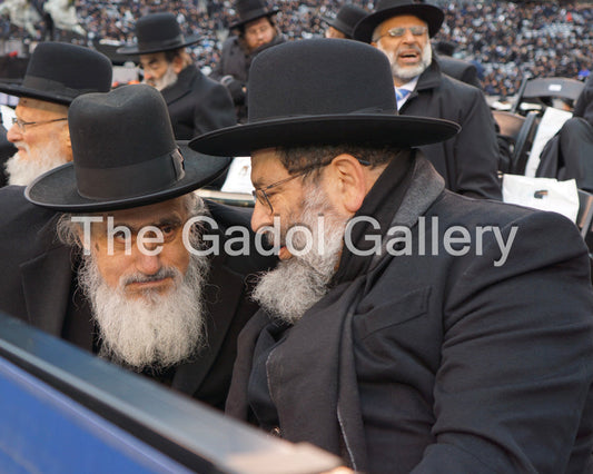 Rav Yaakov Bender & Rav Eliezer Ginsburg Sukkah Poster