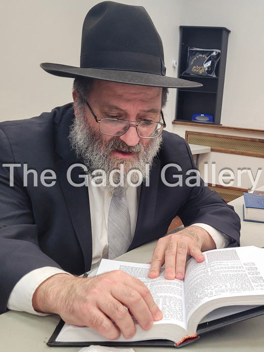 Rav Yaakov Mayer -2- רב יעקב ב× ימן מאייער Sukkah Poster