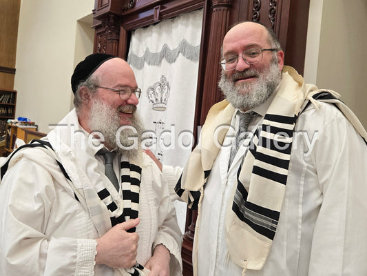 Rav Yaakov Mayer and Rav Azriel Brown