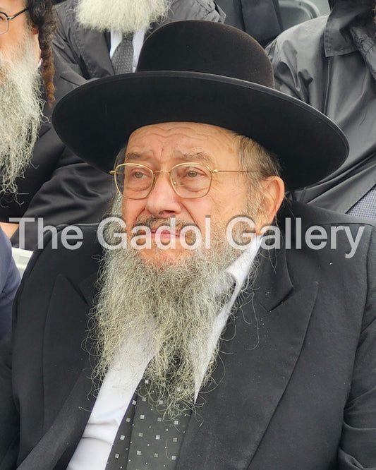 Rav Yisroel Ehrlich - 2