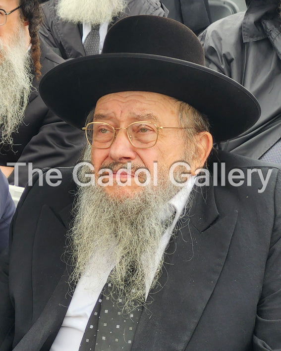Rav Yisroel Ehrlich - 2 Sukkah Poster