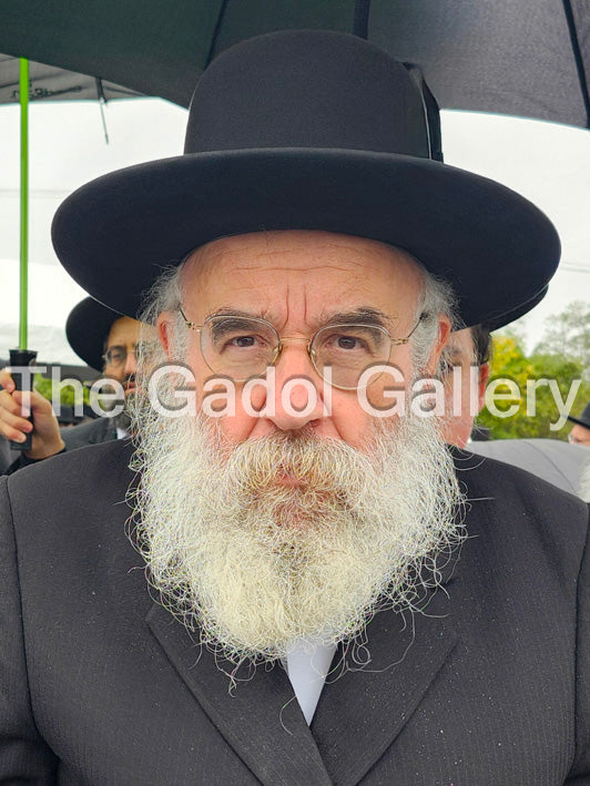 Rav Yisroel Perlow -1- Novomisker Rebbe Sukkah Poster