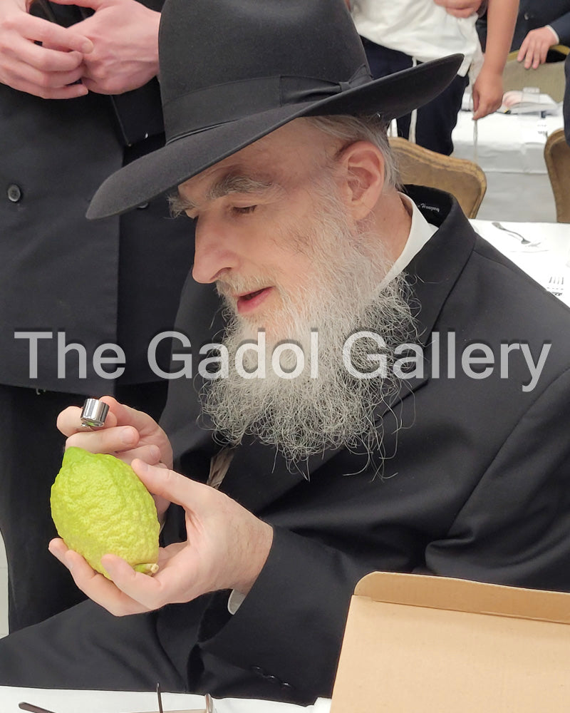 Rav Yisroel Salomon Sukkah Poster