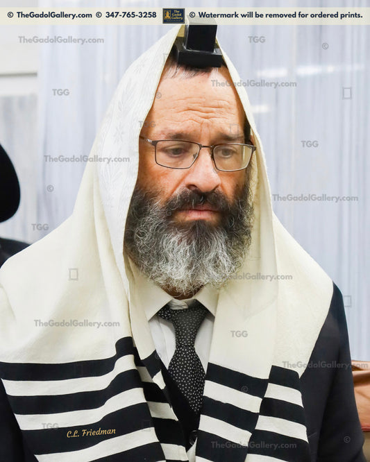 Rav Yehuda Rohr - 3