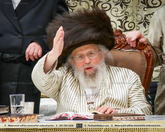 Rav Aryeh Leib Rosenfeld, The Pinsk-Karliner Rebbe -1- האדמו"ר מפינסק-קרלין