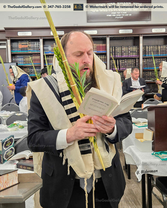 Rav Chaim Roth - רב חיים רוטה
