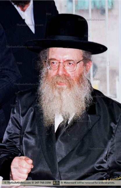 The Sadigura Rebbe -1- האדמו"ר מסדיגורא Sukkah Poster