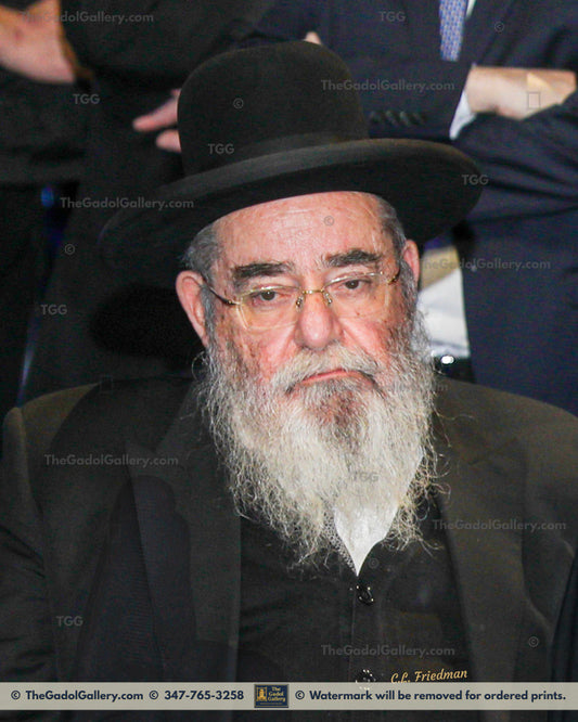 Rav Avrohom Salim