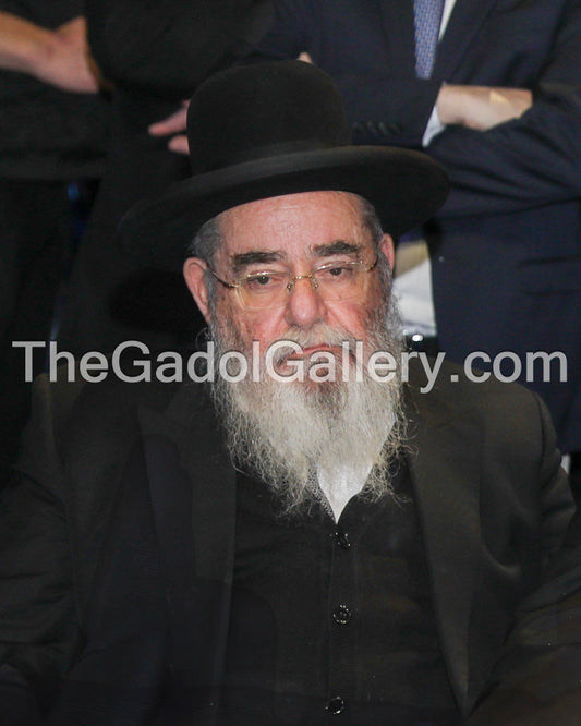 Rav Avrohom Salim Sukkah Poster