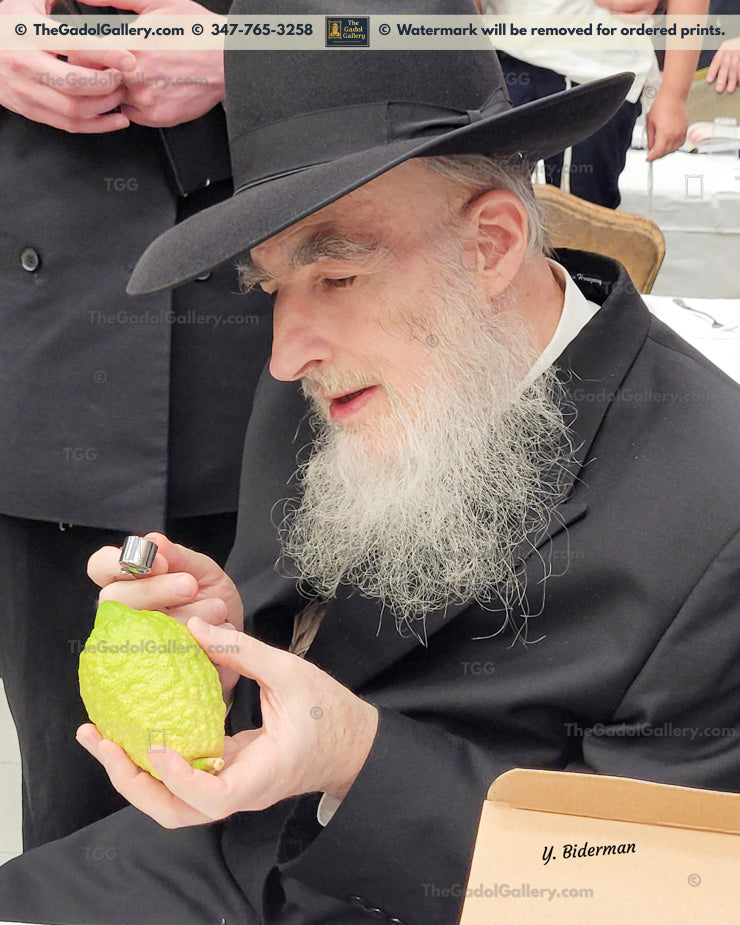 Rav Yisroel Salomon