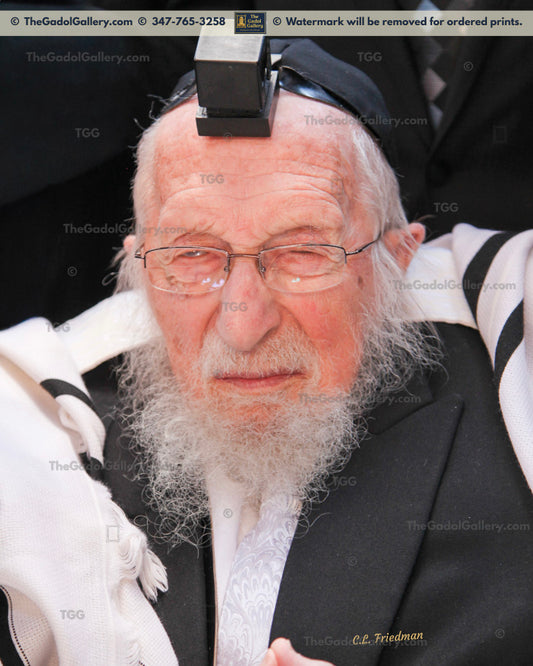 Rav Chaim Pinchas Scheinberg - 1