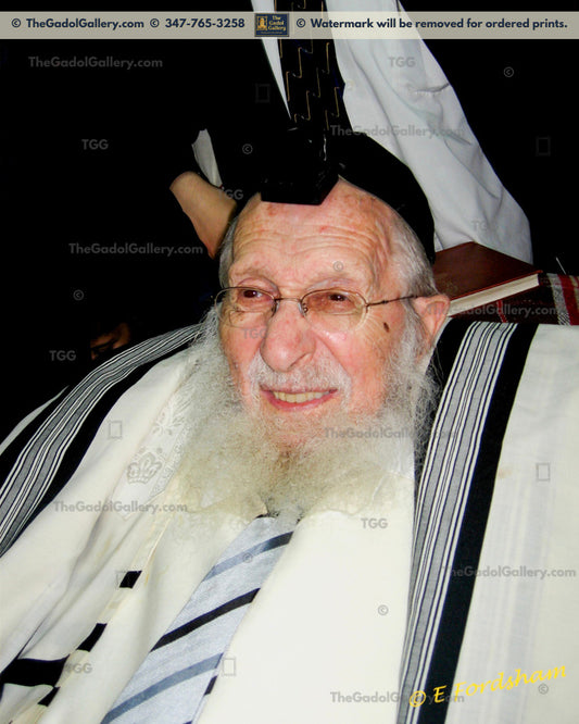 Rav Chaim Pinchas Scheinberg - 2
