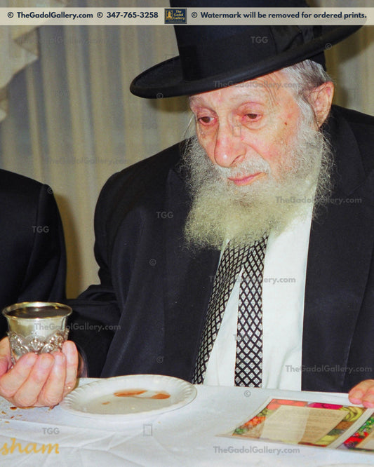 Rav Chaim Pinchas Scheinberg - 3