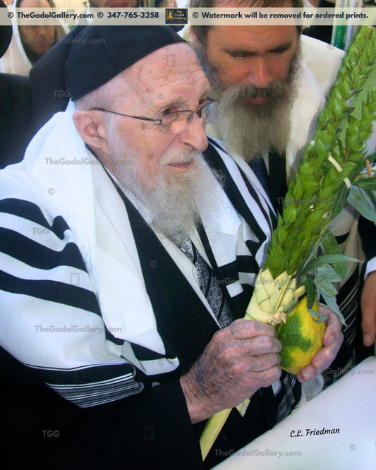 Rav Chaim Pinchas Scheinberg - 4 Sukkos