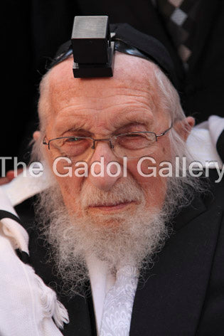Rav Chaim Pinchas Scheinberg - 1 Sukkah Poster