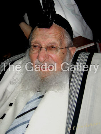 Rav Chaim Pinchas Scheinberg - 2 Sukkah Poster