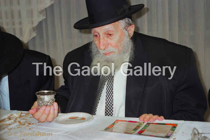 Rav Chaim Pinchas Scheinberg - 3 Sukkah Poster
