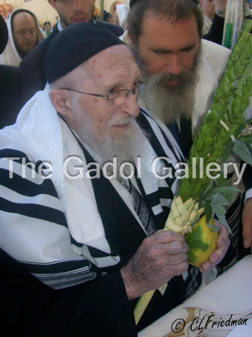 Rav Chaim Pinchas Scheinberg - 4 Sukkos Sukkah Poster