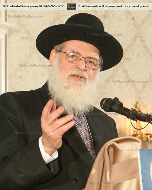 Rav Nosson Scherman - 3