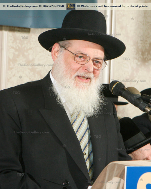 Rav Nosson Scherman - 4