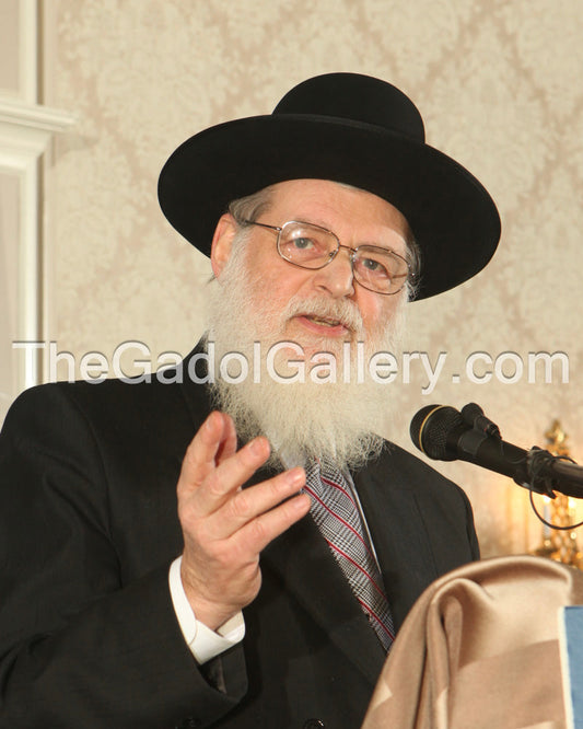 Rav Nosson Scherman - 3 Sukkah Poster