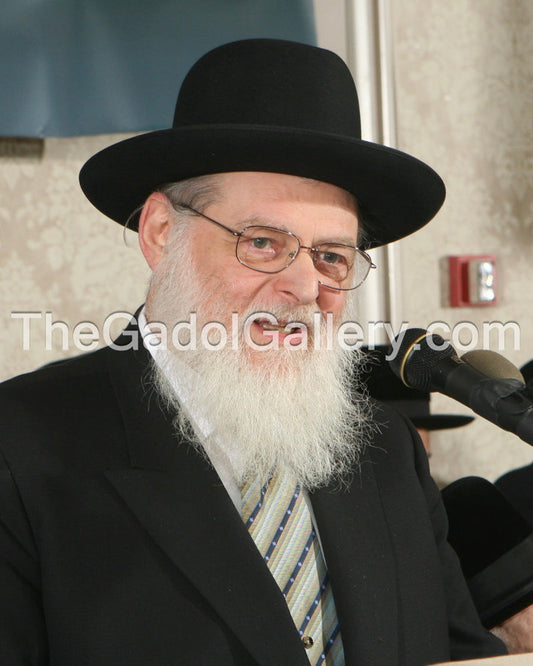 Rav Nosson Scherman - 4 Sukkah Poster
