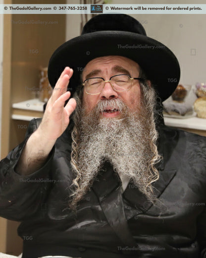 Rav Chaim Pinchas Yosef Schneebalg, the Ziditchov Veretzky Rebbe -2- האדמו"ר מזידיטשוב ווערעצקי
