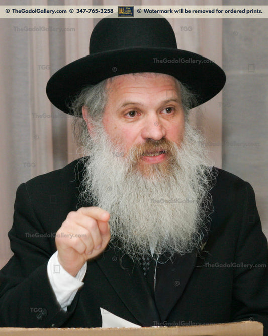 Rav Dovid Schustal -2TU- רב דוד שוסטל