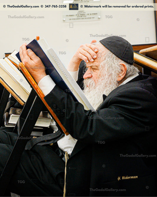 Rav Dovid Schustal -3- רב דוד שוסטל