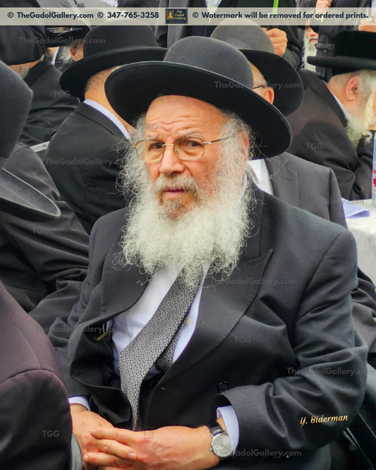 Rav Shlomo Feivel Schustal - רב שלמה שרגא פייוול שוסטל