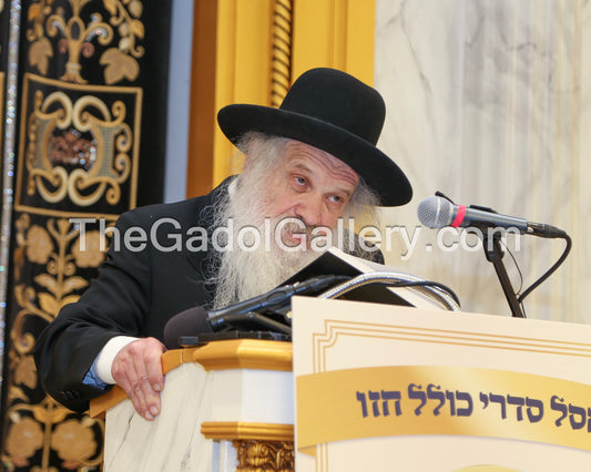 Rav Dovid Schustal 4 - רב דוד שוסטל
