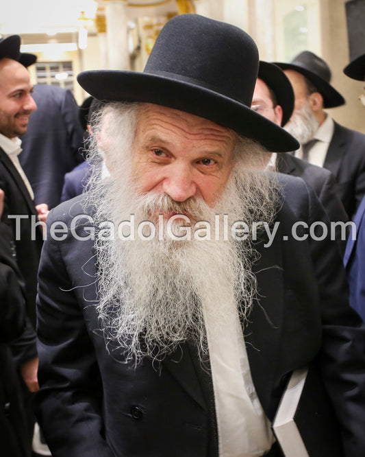 Rav Dovid Schustal 5 - רב דוד שוסטל
