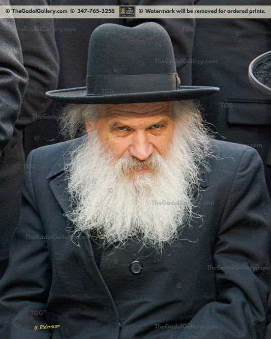 Rav Dovid Schustal -2- רב דוד שוסטל