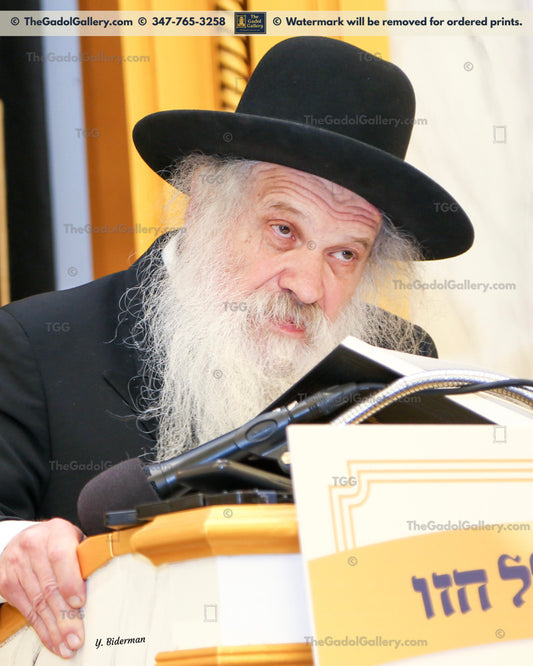 Rav Dovid Schustal 4 - רב דוד שוסטל