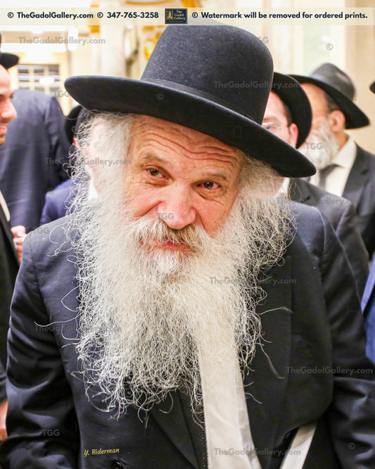 Rav Dovid Schustal 5 - רב דוד שוסטל